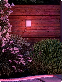 Architectural outdoor lighting on a residential property