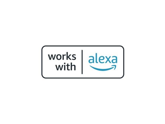 Amazon Alexa | Philips Hue