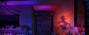 Ein gruseliger Vorgarten mit der Silhouette einer Katze und einer Hexe auf einem Besen Leuchtende Kürbisse in Blau, Rot und Lila