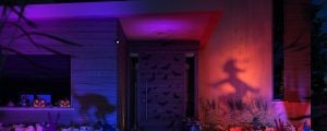 Spooky front garden with a shadow of a cat and a witch on a broomstick. Light-up pumpkins with blue, red and purple tones.