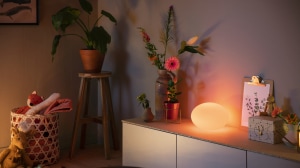 행사가 종료되었습니다!