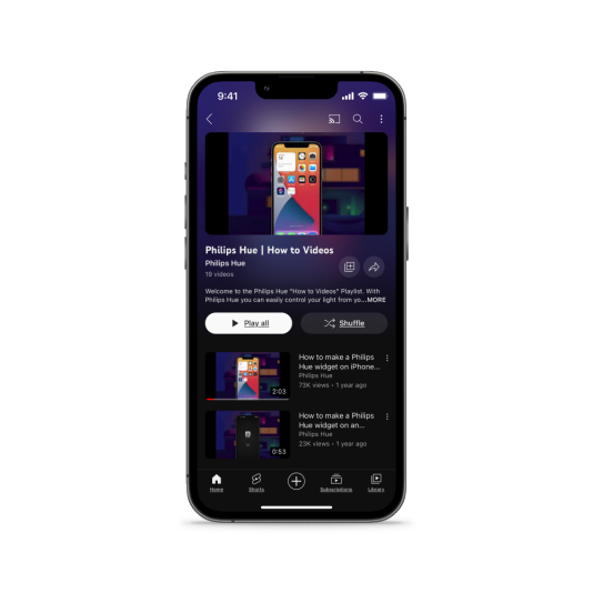 PHILIPS HUE SUPPORT CHAT visual data 5