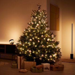 A Christmas tree wrapped in Philips Hue tree Christmas lights fills a living room with warm tones of smart light. 