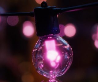 Bushes in a home’s front garden decorated with Festavia LED net lights shining in gradients of pink, purple and white light.