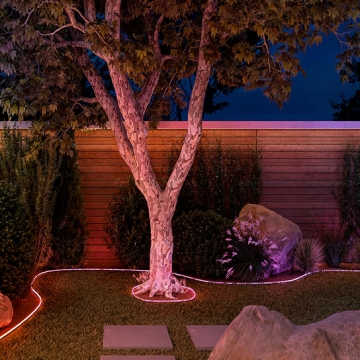 An outdoor space with a tree and flower bed outlined with Neon outdoor strip lights shining in orange and pink tones of light. 