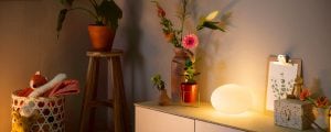 Philips Hue flourish table light white turned as light solution for a windowless room 