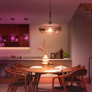 Pendant smart light bulb installed above dining table, emitting adjustable light onto tabletop and surrounding chairs in dining room.