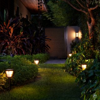 Garden lights ideas