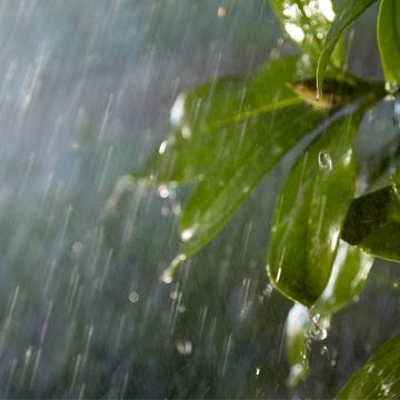 Las tiras de luces para exteriores funcionan en cualquier clima